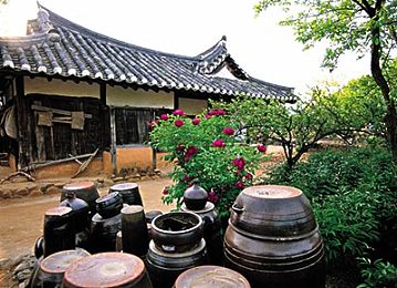 长江新城明年6月完成规划远期目标500平